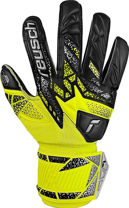 Reusch Football Attrakt Freegel Silver (6)