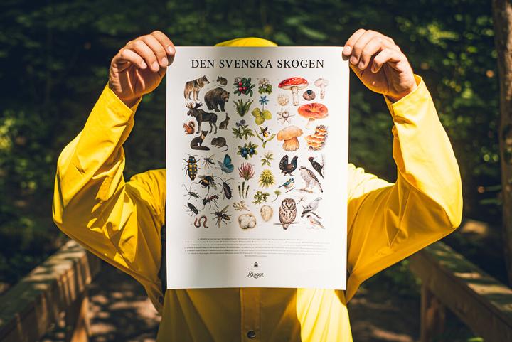 Produktbild Ninja Print Skogen (Memoryspel)