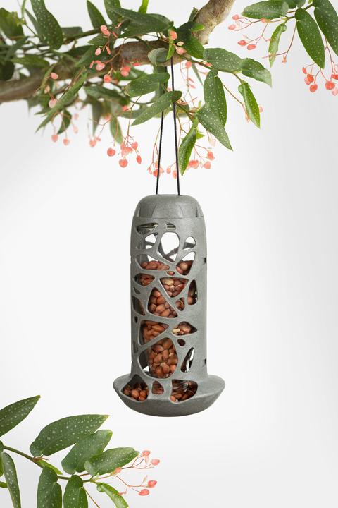 Actual product image SingingFriend Bird Feeder Tara