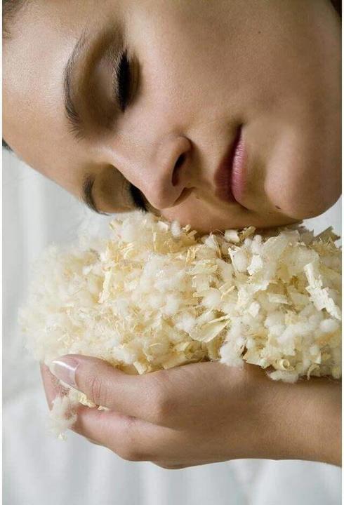 Actual product image Hefel Wellness Swiss Pine Pillow (65 x 100 cm)