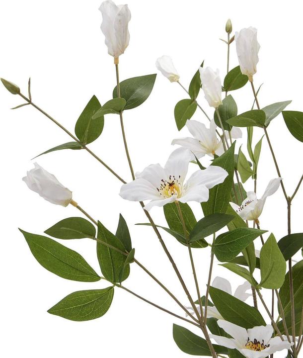 Actual product image Hill Interiors Florida Clematis Artificial Flower (77 cm)