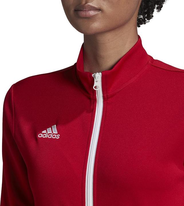 Actual product image adidas Entrada 22 women's training jacket (XS)