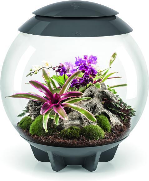 Oase biOrb AIR 60 gris