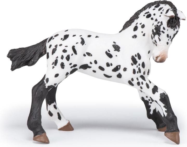 Actual product image Papo Appaloosa foal black