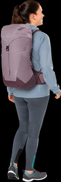 Produktbild Deuter Ac Lite (22 l)