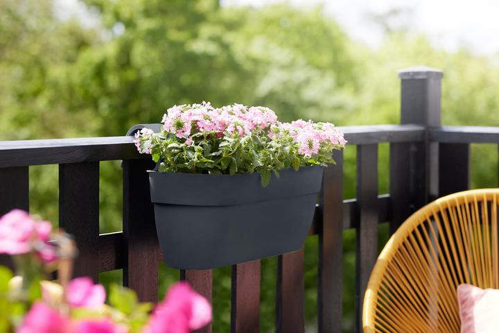 Image du produit Elho Vibia Campana Easy (46 cm)