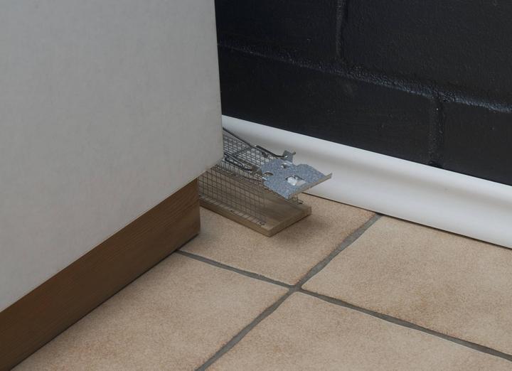 Actual product image Gardigo Live Trap Live Mouse Trap Lo