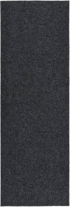 Immagine prodotto VidaXL Kasha (100 x 300 cm)