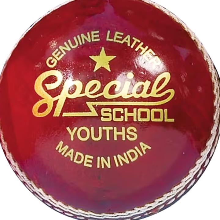 Produktbild Readers Special School Leder Cricket Ball