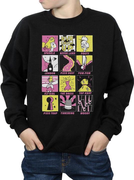 Actual product image Disney Boys Tinkerbell Squares Sweatshirt (140, 146)