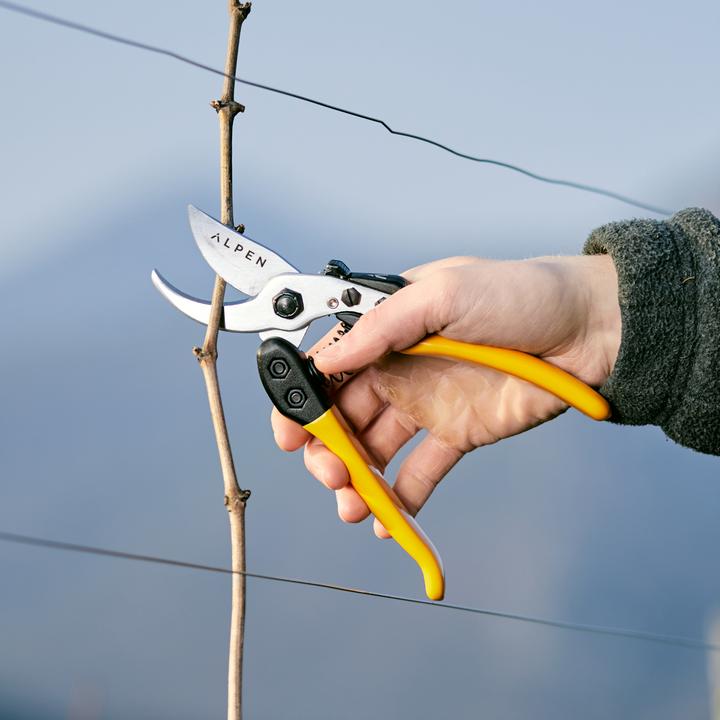 Image du produit Alpen Swiss Tools Sécateur Alpen GELBHORN 150