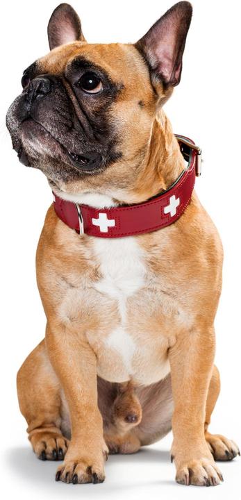 Produktbild Hunter Halsband Swiss Echtleder (M, Hund, Allgemein)