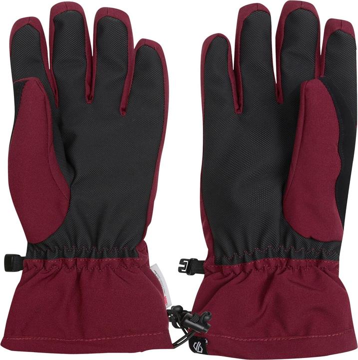 Immagine prodotto Dare2b Donna Charisma III Logo Guanti da Sci (XS)