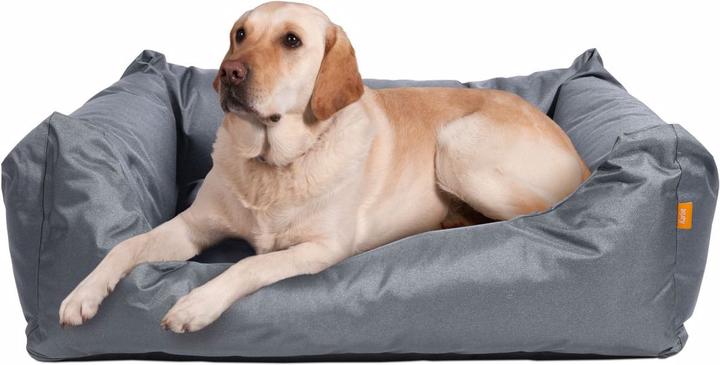 Productafbeelding Karlie Dreambay (Hond)