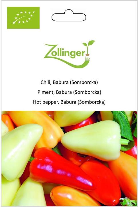 Actual product image Zollinger Bio Chili, Babura (Somborcka) (Seedlings)