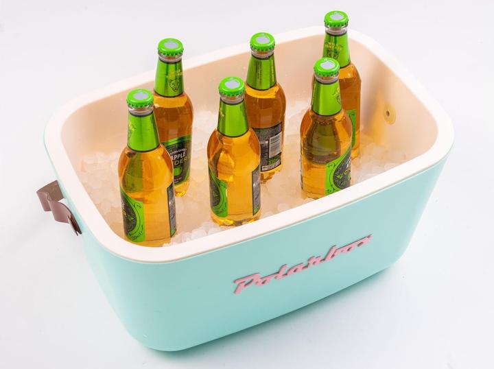 Actual product image Polarbox Retro (20 l)