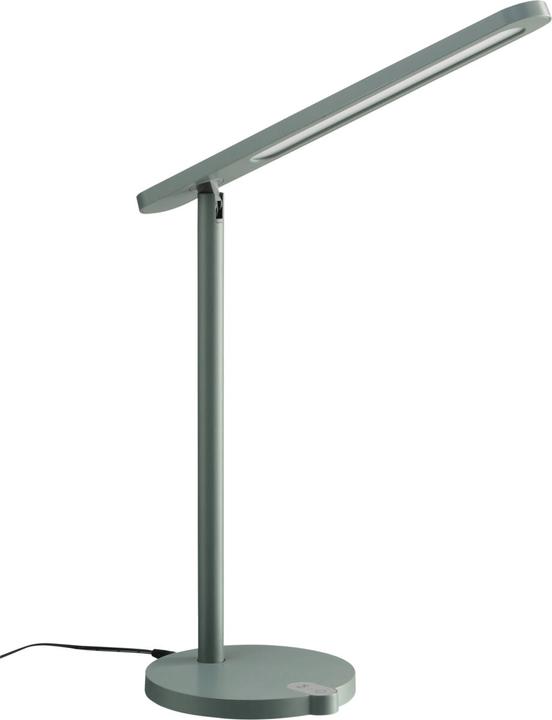 Actual product image micasa Miola (490 lm)