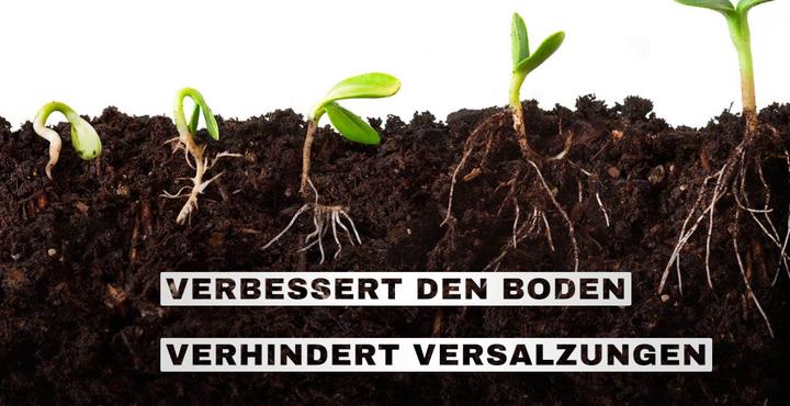 Actual product image GrowsArtig Alfa Boost (0.99 kg, 1 l)