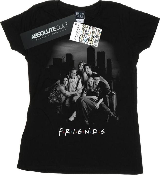 Actual product image Friends Womens/Ladies Group Photo Skyline Cotton T-Shirt (XXL)
