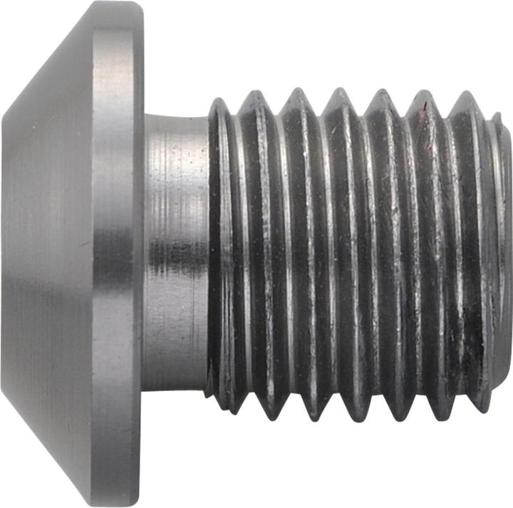 Actual product image Daytona Anodised titanium-coloured CNC aluminium screw cap F. Mirror M10 X P1.25 right-hand thread