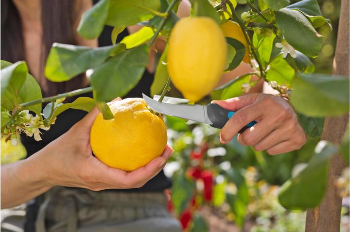 Immagine prodotto Gardena VeggieCut