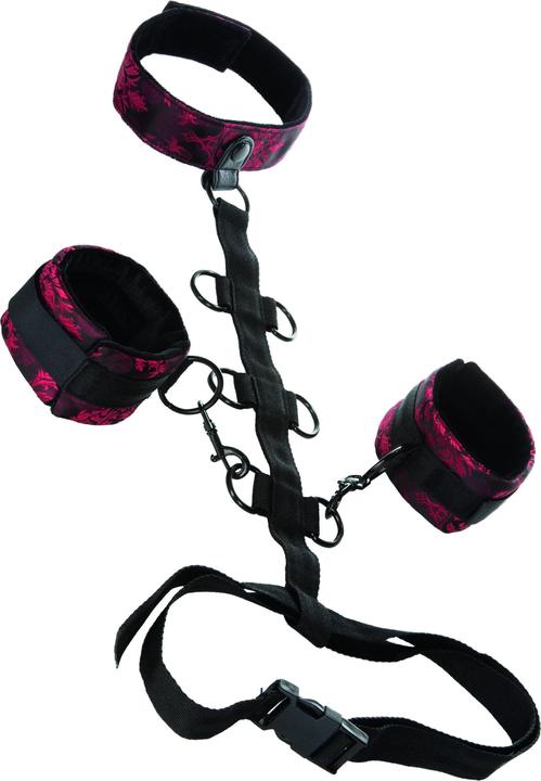 Produktbild CalExotics Scandal Collar Body Restraint