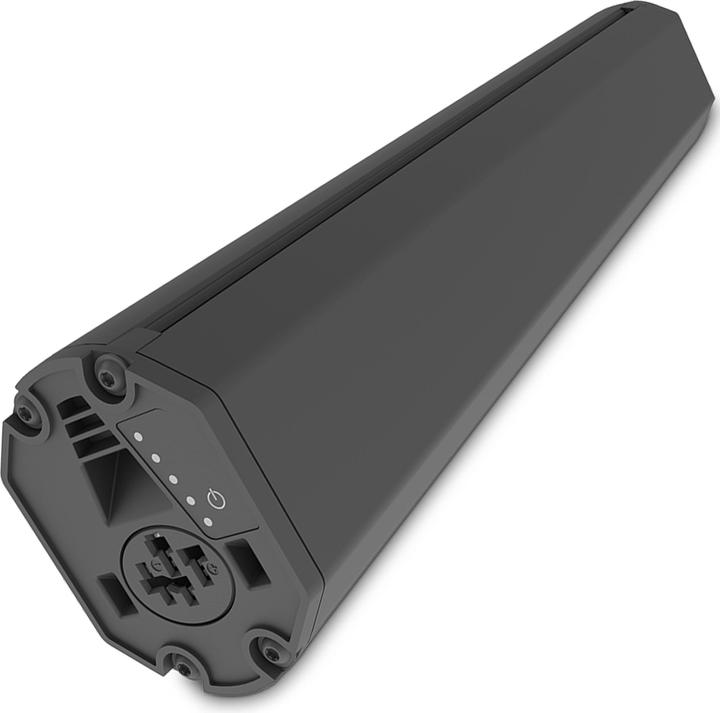 Image du produit E-Bike-Vision Batterie Bosch Active (Plus) / Performance (CX) Intube verticale (461 Wh, Batterie pour vélo électrique)