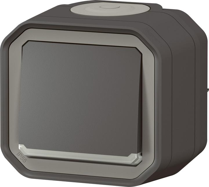 Actual product image Legrand Plexo New damp-proof surface-mounted 1-compartment changeover switch, illuminated