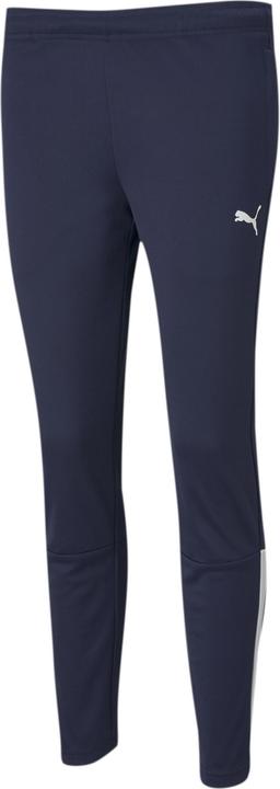 Puma teamLIGA Training Pants W