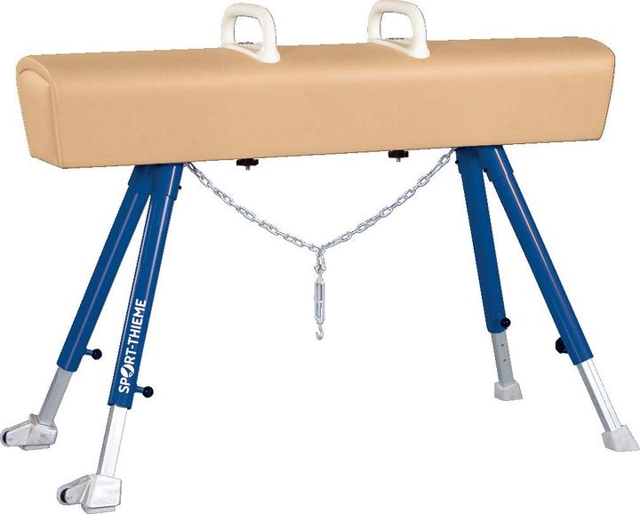 Actual product image Sport-Thieme pommel horse