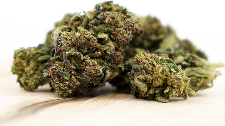 Actual product image Herba di Berna Mango Haze (45 g, Outdoor)