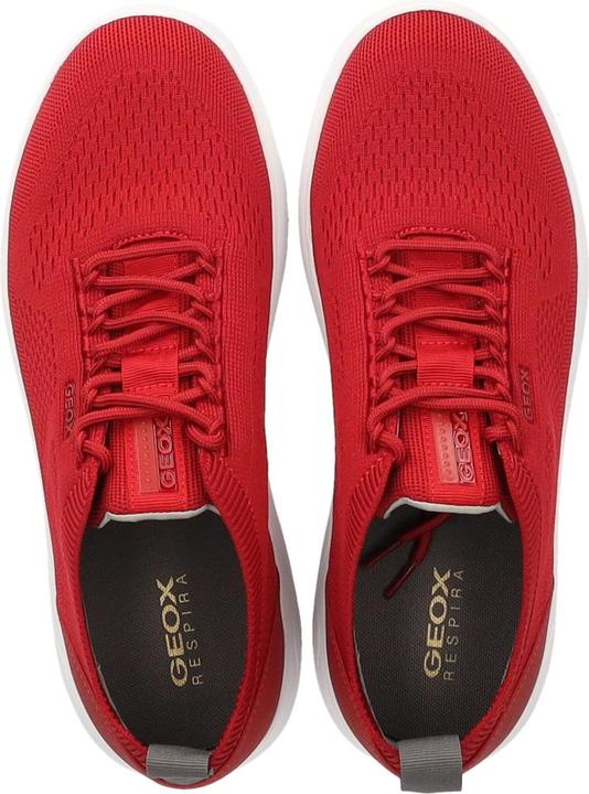 Actual product image Geox Sneaker (41)