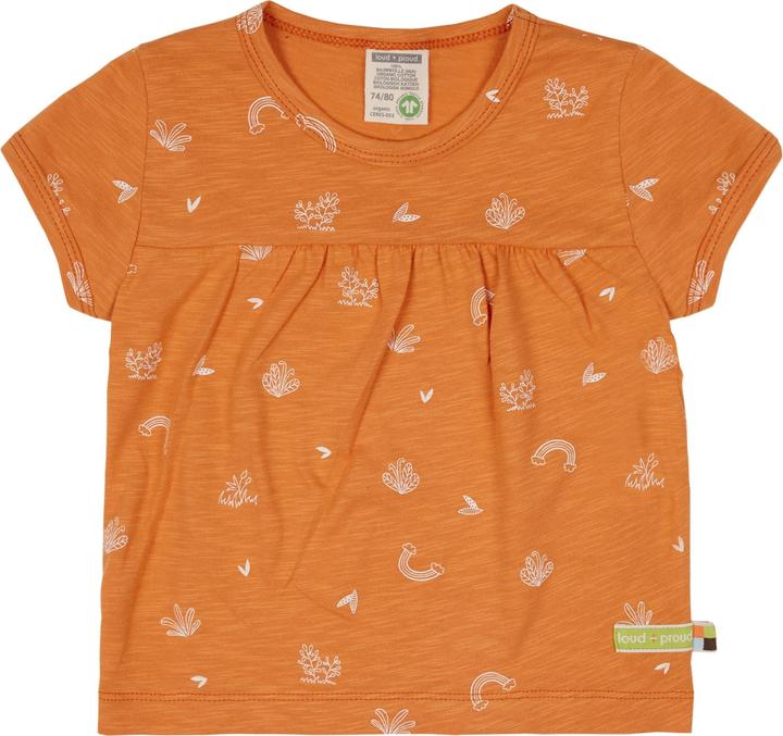 Carota