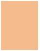 Actual product image Bioderma Photoderm COVER Touch (Light)