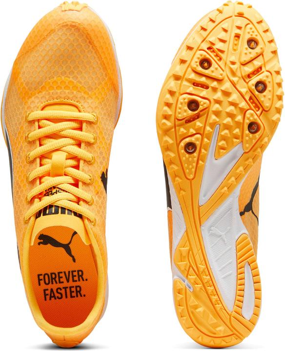 Image du produit Puma evoSPEED Haraka 8 Unisexe (12)