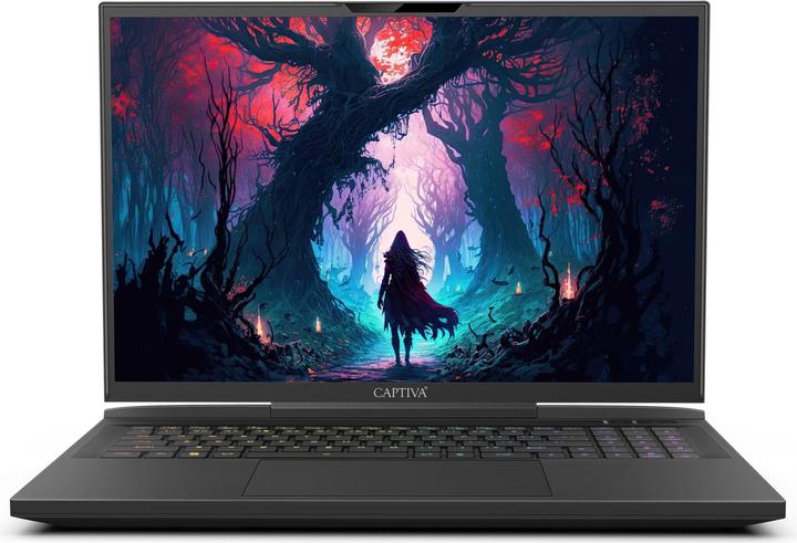 Actual product image Captiva Ultimate Gaming I81-609 Core i9 RTX 4090 (17.30", Intel Core i9-14900HX, 64 GB, 4000 GB, DE)
