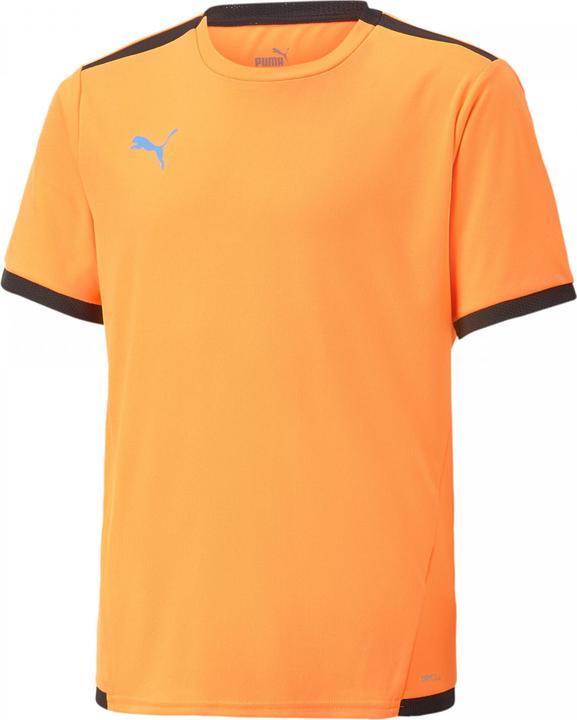 Actual product image Puma teamLIGA Jersey Jr-704925 (152)