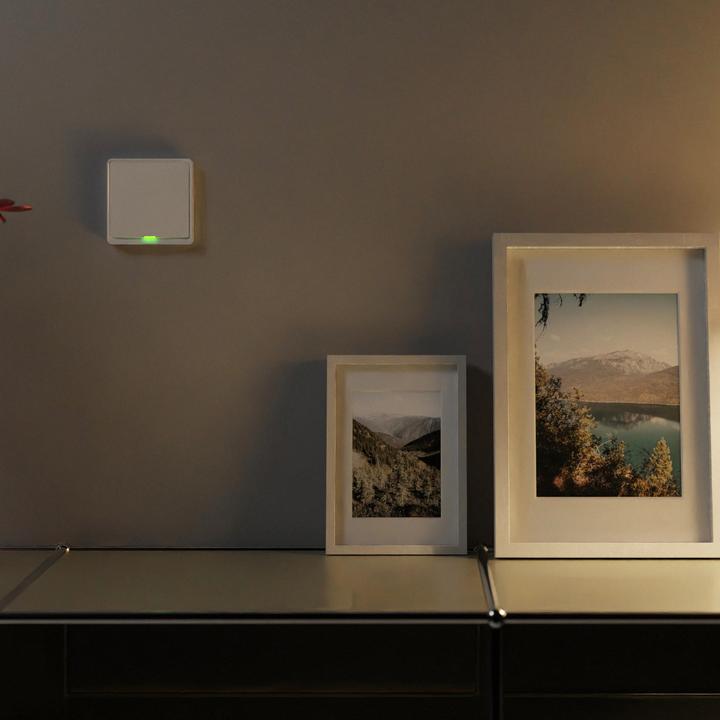 Produktbild Tesla TSL-SWI-ZIGBEE1