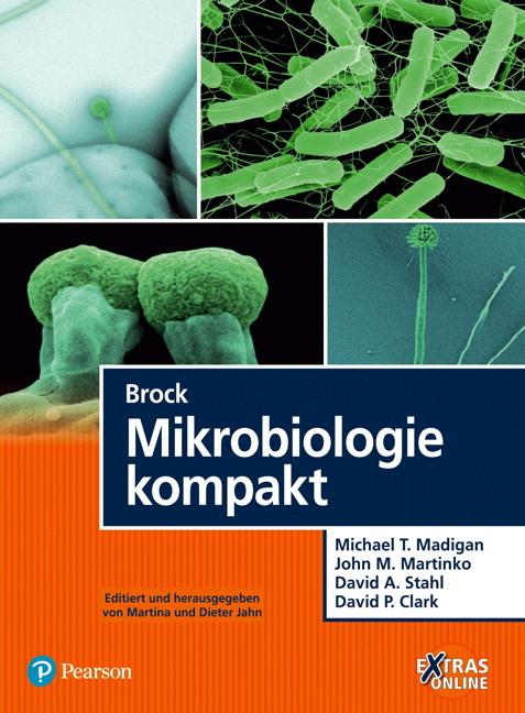 Produktbild Brock Mikrobiologie kompakt (Deutsch, David A. Stahl, 2015)