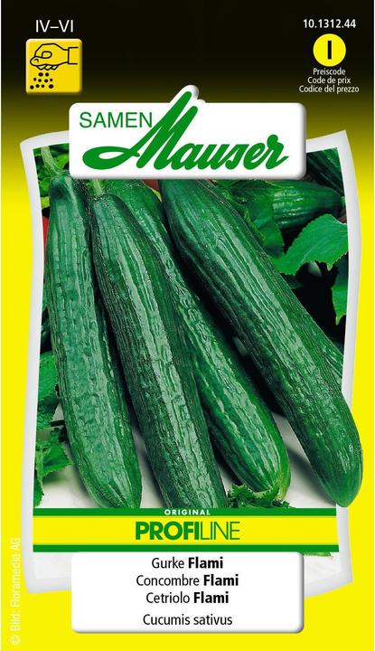 Cetriolo Flami Profiline (Semi di verdura)