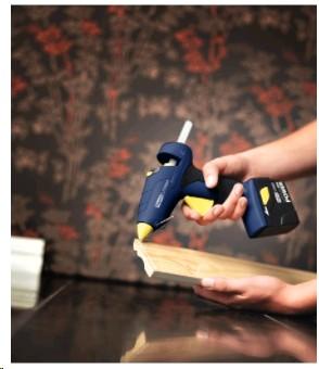 Actual product image Rapid Bgx300