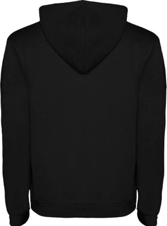 Actual product image Alpinia Mens Urban Hoodie (M)