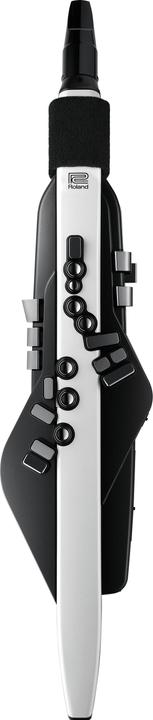 Produktbild Roland AE-20 Digitales Blasinstrument