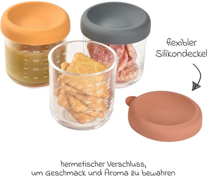 Immagine prodotto Beaba Porzioni di vetro 6 pezzi 250ml (miscela Sun)