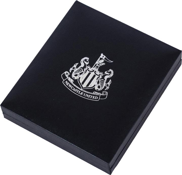 Actual product image Newcastle United FC Gold Painted Necklace & Pendant (100% synthetic material)