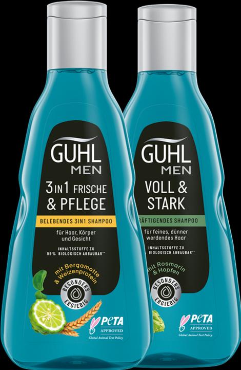 Actual product image Guhl Men 3in1 Shampoo Freshness & Care (250 ml, Liquid shampoo)