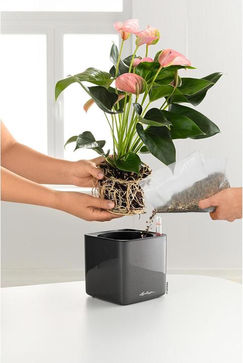 Immagine prodotto Lechuza Cube Glossy 14 (14 cm)