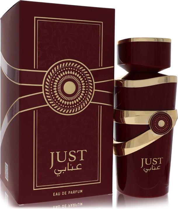 Actual product image Ameer Al Oud Fragrance World Just Anabi Eau De Parfum 100ml (Eau de parfum, 100 ml)