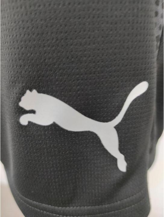 Actual product image Puma teamCUP Training Shorts (3XL)