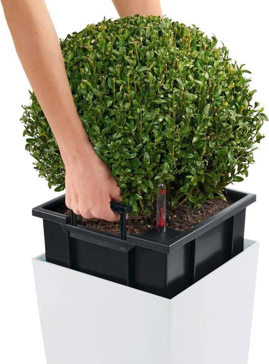 Image du produit Lechuza Cubico Color (39.50 cm)